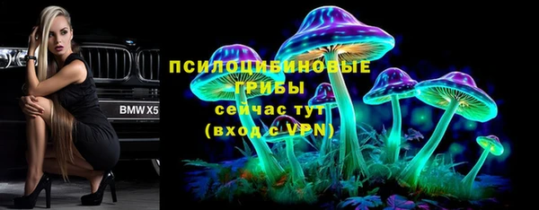 амф Богданович