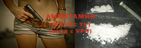 амф Богданович