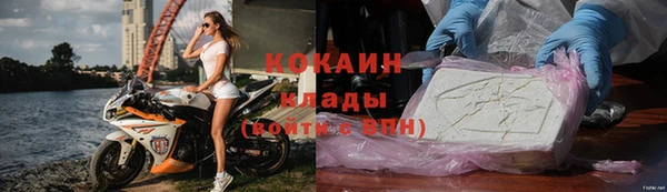 амф Богданович