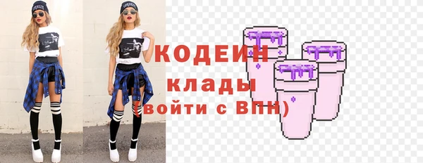 дживик Богородицк