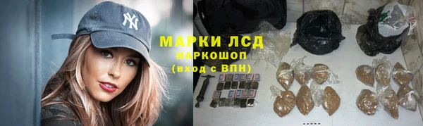 амф Богданович