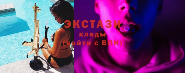 дживик Богородицк