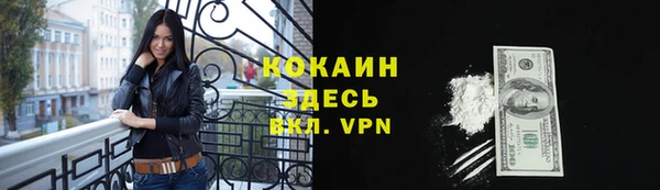 дживик Богородицк