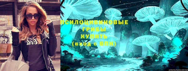 амф Богданович
