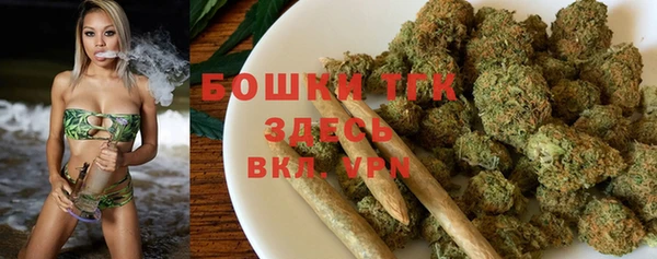 дживик Богородицк