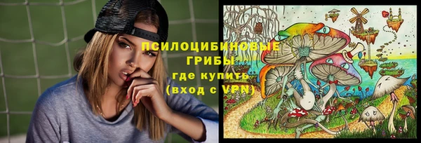 дживик Богородицк
