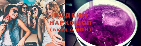 дживик Богородицк