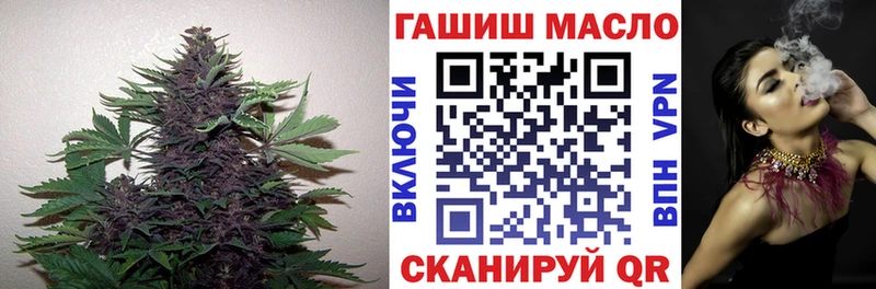 Купить закладки  Арсеньев  ТГК концентрат 