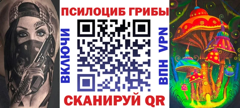 Купить закладки  Арсеньев  Псилоцибиновые грибы Magic Shrooms 